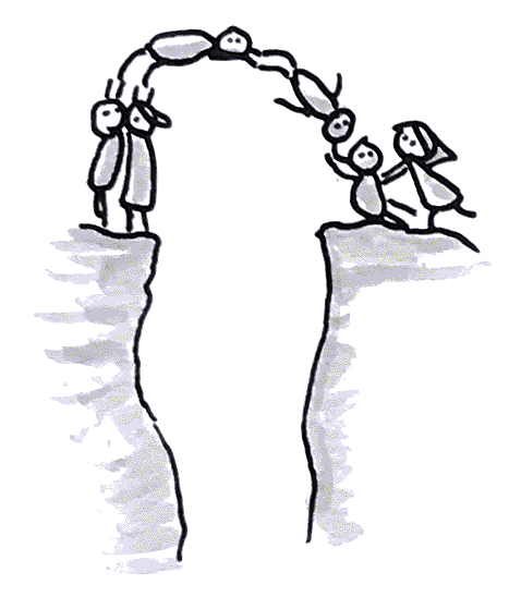 A community of diverse people working towards a shared vision A community of diverse people working towards a shared vision